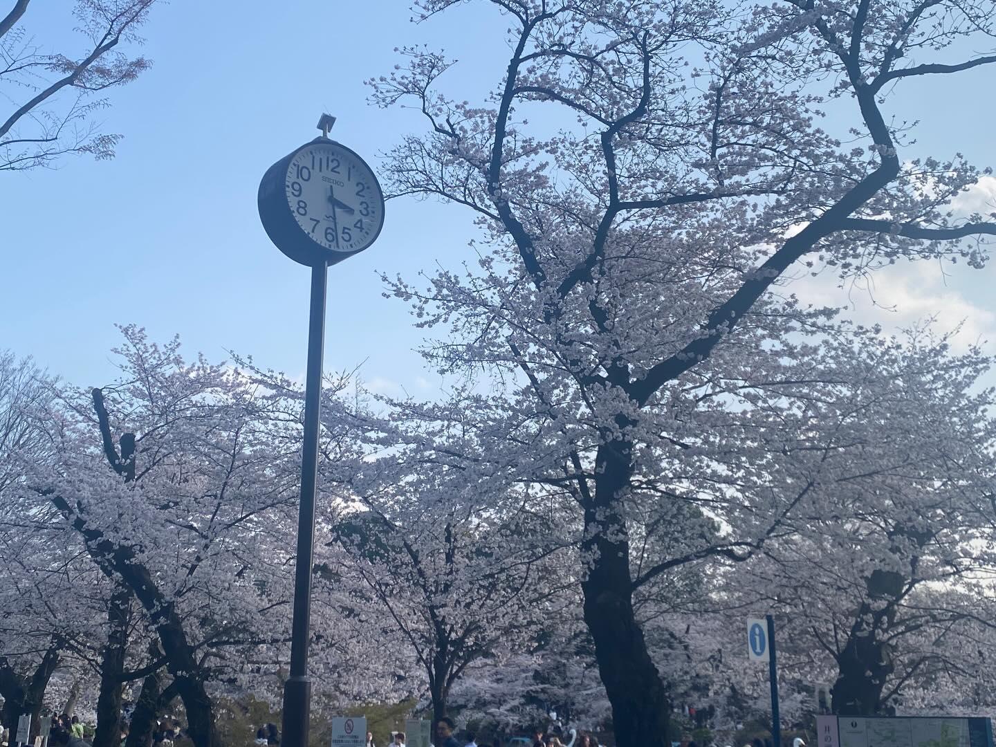 【表参道×焼き鳥居酒屋】