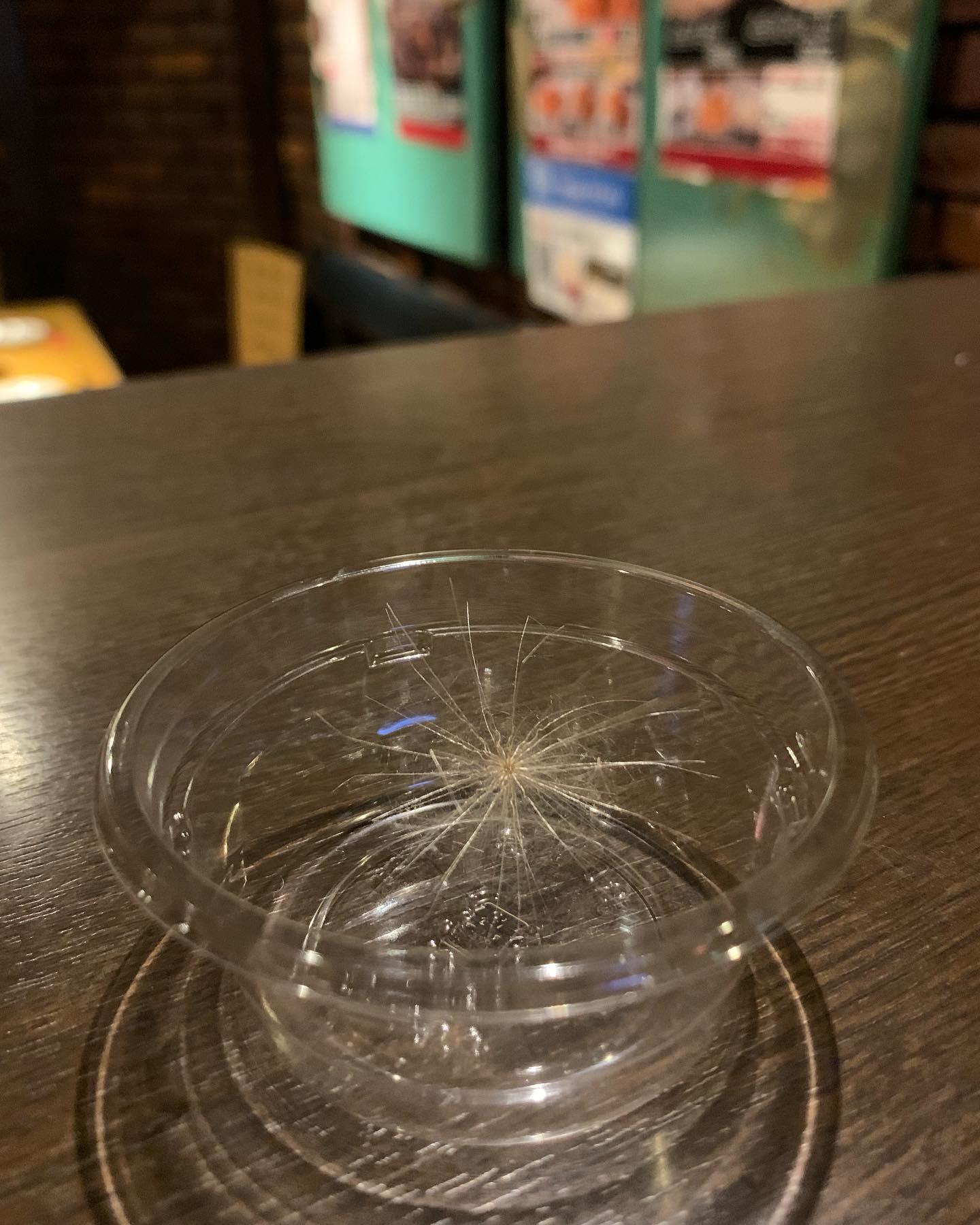 【ケセランパセラン】暑いこの頃。ビールやハイボールが飲みたくなったら!